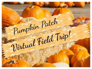 virtual field trip pumpkin patch