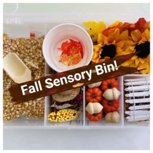 fall sensory bins