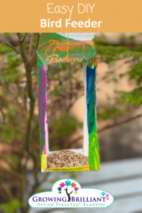 DIY Bird Feeder Preschool Activity