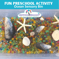 ocean sensory bin for preschoolers