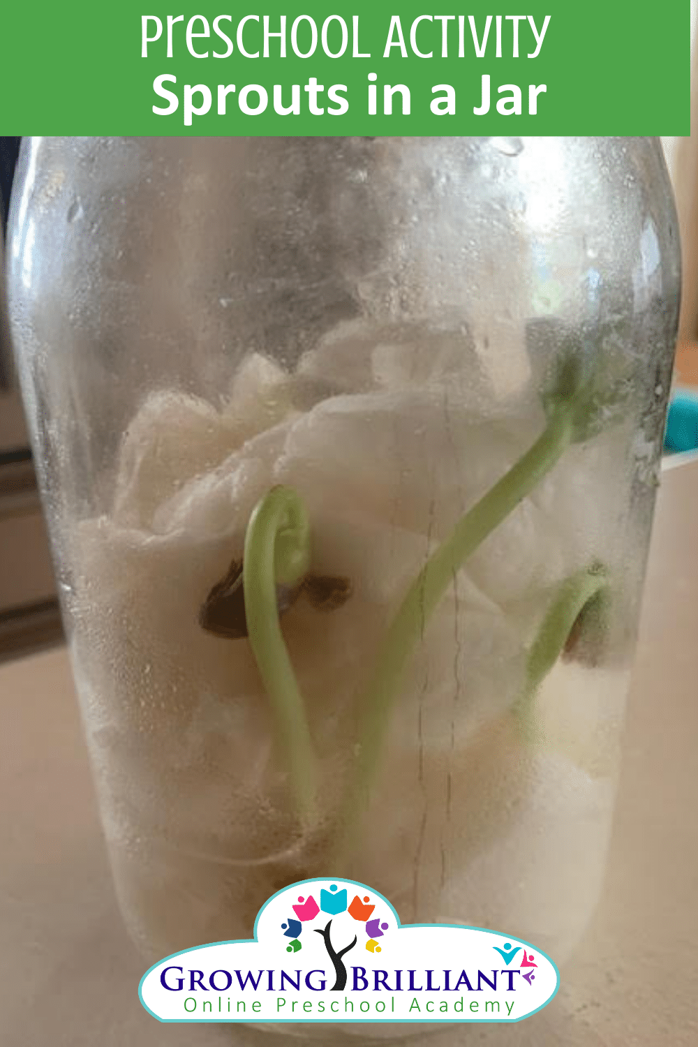 Preschool Activity: Sprouts in a Jar