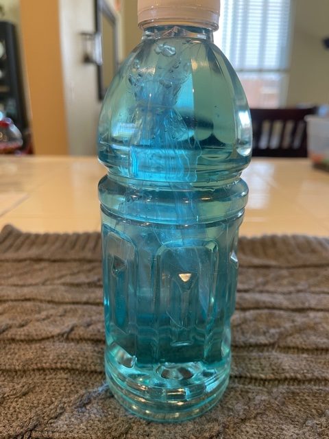 preschool diy jellyfish in a bottle