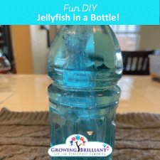 Jellyfish in a bottle: Preschool DIY