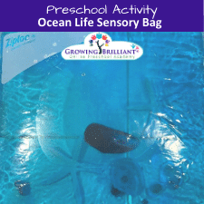 preschool ocean life sensory bag 