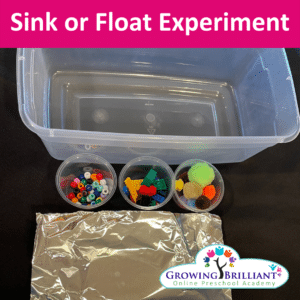 Beginner Preschool Science Experiment